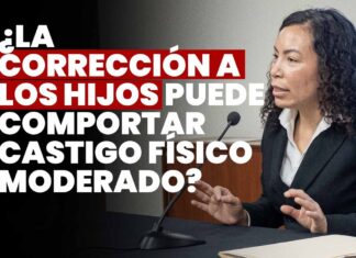 ¿La corrección a los hijos puede comportar castigo físico moderado? JNJ entrevista a Ofelia María Díaz Dextre