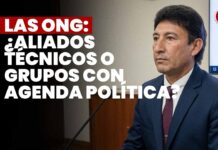 Las ONG: ¿Aliados técnicos o grupos con agenda política? JNJ entrevista a Roque Iván Ortiz Manzanedo
