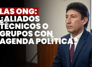 Las ONG: ¿Aliados técnicos o grupos con agenda política? JNJ entrevista a Roque Iván Ortiz Manzanedo