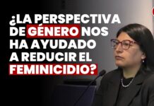 ¿La perspectiva de género nos ha ayudado a reducir el feminicidio? JNJ entrevista a Katia Álvarez Cruz