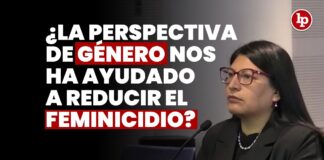 ¿La perspectiva de género nos ha ayudado a reducir el feminicidio? JNJ entrevista a Katia Álvarez Cruz