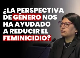 ¿La perspectiva de género nos ha ayudado a reducir el feminicidio? JNJ entrevista a Katia Álvarez Cruz