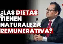 ¿Las dietas tienen naturaleza remunerativa? JNJ entrevista a Jorge Manuel Lavilla Luján