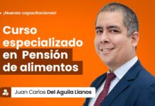 Curso especializado en Pensión de alimentos. Hasta 13 MAY un libro gratis