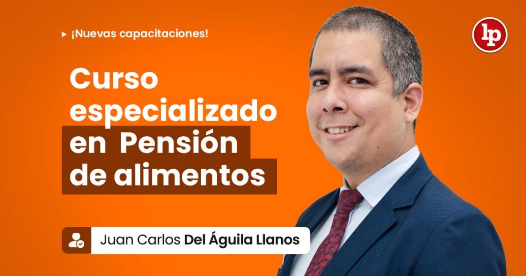 2025-BANNER WEB-PENSION DE ALIMENTOS-LPDERECHO
