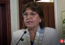 Delia Espinoza: Proyecto de ley de Tomás Gálvez pretende debilitar atribuciones constitucionales de los colegios