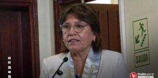 Delia Espinoza: Proyecto de ley de Tomás Gálvez pretende debilitar atribuciones constitucionales de los colegios