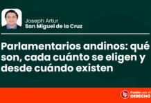 Parlamentarios andinos: qué son, cada cuánto se eligen y desde cuándo existen