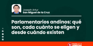 Parlamentarios andinos: qué son, cada cuánto se eligen y desde cuándo existen