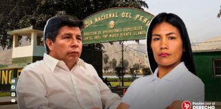 Virtual diputada de JP registraría más de 60 visitas en horario laboral a Pedro Castillo en penal de Barbadillo