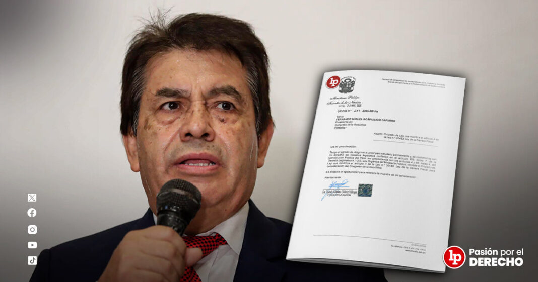 BANNER_tomas galvez nueva ley organica_LP