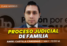 Clase modelo sobre proceso judicial de familia. Llena el formulario para recibir las diapositivas