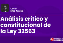 Análisis crítico y constitucional de la Ley 32563