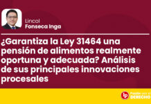 ¿Garantiza la Ley 31464 una pensión de alimentos realmente oportuna y adecuada? Análisis de sus principales innovaciones procesales