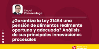 ¿Garantiza la Ley 31464 una pensión de alimentos realmente oportuna y adecuada? Análisis de sus principales innovaciones procesales
