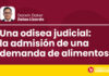 Una odisea judicial: la admisión de una demanda de alimentos