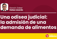Una odisea judicial: la admisión de una demanda de alimentos