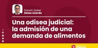 Una odisea judicial: la admisión de una demanda de alimentos
