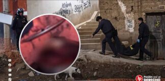 Dictan 9 meses de prisión preventiva a hombres sindicados de matar y consumir los restos de guía turístico