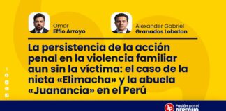 La persistencia de la acción penal en la violencia familiar aun sin la víctima: el caso de la nieta “Elimacha” y la abuela “Juanancia” en el Perú