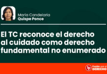 El Tribunal Constitucional reconoce el derecho al cuidado como derecho fundamental no enumerado