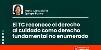 El Tribunal Constitucional reconoce el derecho al cuidado como derecho fundamental no enumerado