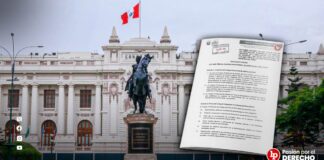 Aprueban que inhabilitados para la función pública no puedan asumir cargos en colegios profesionales