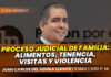 Clase modelo sobre proceso judicial de familia: alimentos, tenencia, visitas y violencia. Llena el formulario para recibir las diapositivas