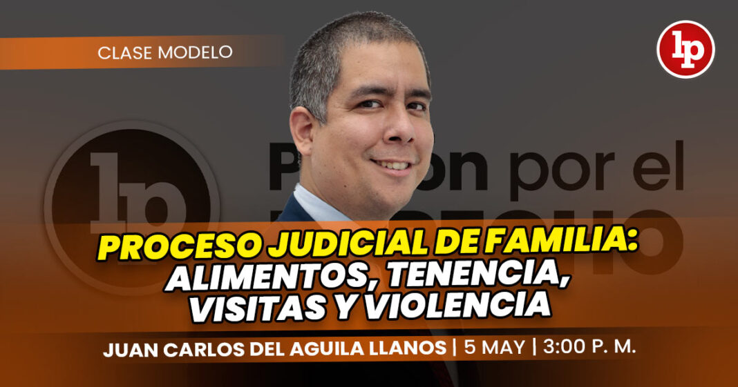 CLASE MODELO-Proceso judicial de familia alimentos tenencia visitasy violencia