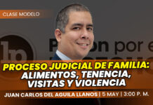 Clase modelo sobre proceso judicial de familia: alimentos, tenencia, visitas y violencia. Llena el formulario para recibir las diapositivas