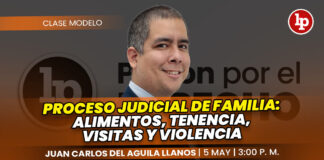 Clase modelo sobre proceso judicial de familia: alimentos, tenencia, visitas y violencia. Llena el formulario para recibir las diapositivas