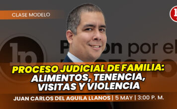 Clase modelo sobre proceso judicial de familia: alimentos, tenencia, visitas y violencia. Llena el formulario para recibir las diapositivas
