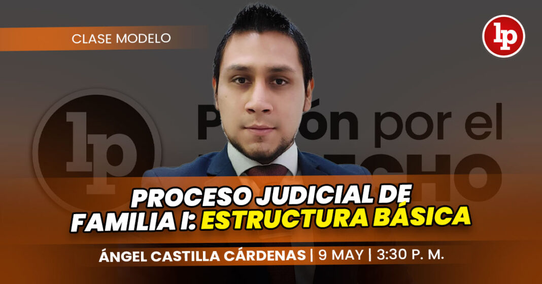 CLASE MODELO-angel castillo cardenas_Proceso judicial de familia I estructura básica
