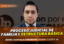 Clase modelo sobre proceso judicial de familia I: estructura básica. Llena el formulario para recibir las diapositivas