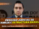 Clase modelo sobre proceso judicial de familia I: estructura básica. Llena el formulario para recibir las diapositivas