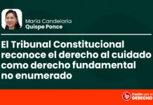 El Tribunal Constitucional reconoce el derecho al cuidado como derecho fundamental no enumerado