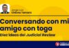 Conversando con mi amigo con toga: «diez ideas del judicial review»