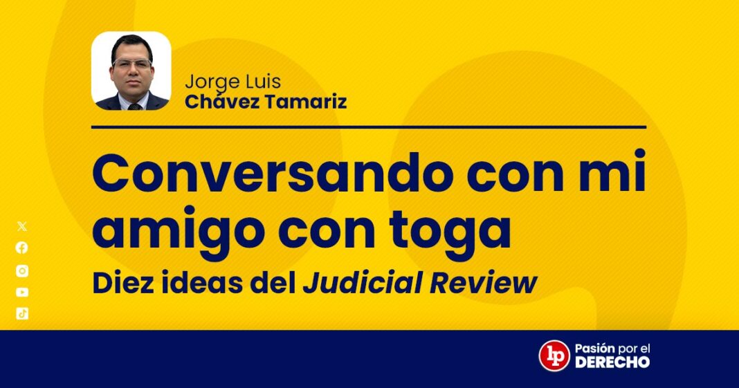 banner autor penal_conversando con mi amigos con toga diez ideas del judicial review_LP