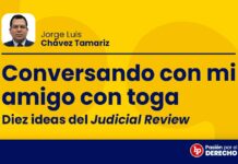 Conversando con mi amigo con toga: «diez ideas del judicial review»