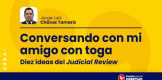 Conversando con mi amigo con toga: «diez ideas del judicial review»