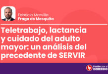 Teletrabajo, lactancia y cuidado del adulto mayor: un análisis del precedente de SERVIR