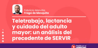 Teletrabajo, lactancia y cuidado del adulto mayor: un análisis del precedente de SERVIR