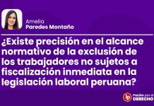 ¿Existe precisión en el alcance normativo de la exclusión de los trabajadores no sujetos a fiscalización inmediata en la legislación laboral peruana?