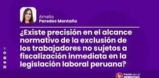 ¿Existe precisión en el alcance normativo de la exclusión de los trabajadores no sujetos a fiscalización inmediata en la legislación laboral peruana?