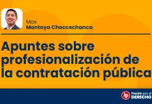 Apuntes sobre profesionalización de la contratación pública