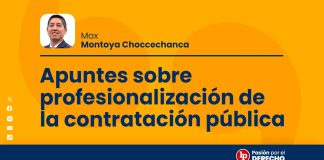 Apuntes sobre profesionalización de la contratación pública