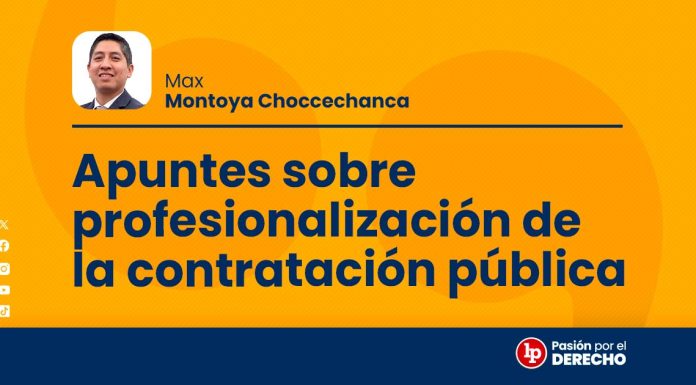 Apuntes sobre profesionalización de la contratación pública